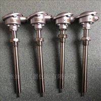 wzp赫(hè)斯曼溫度(dù)傳感器